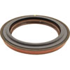 Seal - image 4