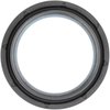 Seals - image 3