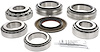 BEARING & SEAL KIT - image 1