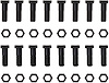 Ring Gear Nut & Bolt Kit - image 1
