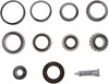 KIT-BEARING & SEAL - image 2