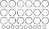 SHIMS - image 2