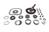Ring & Pinion - image 2