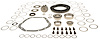 Ring & Pinion - image 1
