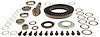 Ring & Pinion - image 1