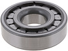 Pilot Bearing - image 1