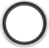 OIL SEAL - image 3