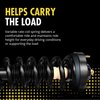 Magnum Loaded Assembly Strut  CS Assbly - image 4