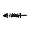 Quick-Strut Strut and Coil Spring Assembly