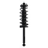 Quick-Strut Strut and Coil Spring Assembly - image 1