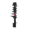 Quick-Strut Strut and Coil Spring Assembly