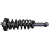 RoadMatic Strut and Coil Spring Assembly - image 1