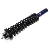 RoadMatic Strut and Coil Spring Assembly - image 1