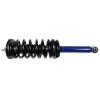 RoadMatic Strut and Coil Spring Assembly - image 1