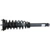 RoadMatic Strut and Coil Spring Assembly - image 1