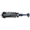 RoadMatic Strut and Coil Spring Assembly - image 1