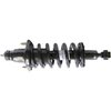 RoadMatic Strut and Coil Spring Assembly - image 2