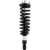 RoadMatic Strut and Coil Spring Assembly - image 1
