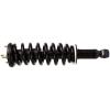 RoadMatic Strut and Coil Spring Assembly - image 1
