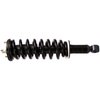 RoadMatic Strut and Coil Spring Assembly - image 2