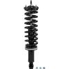 RoadMatic Strut and Coil Spring Assembly - image 1