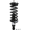 RoadMatic Strut and Coil Spring Assembly - image 1