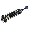 RoadMatic Strut and Coil Spring Assembly - image 1