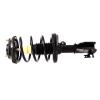 RoadMatic Strut and Coil Spring Assembly - image 1