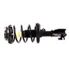 RoadMatic Strut and Coil Spring Assembly - image 2