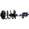 RoadMatic Strut and Coil Spring Assembly - image 1