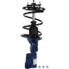 RoadMatic Strut and Coil Spring Assembly - image 1