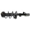 RoadMatic Strut and Coil Spring Assembly - image 1