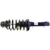 RoadMatic Strut and Coil Spring Assembly - image 2