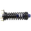 RoadMatic Strut and Coil Spring Assembly - image 2