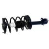 RoadMatic Strut and Coil Spring Assembly - image 1