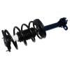 RoadMatic Strut and Coil Spring Assembly - image 1