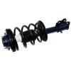 RoadMatic Strut and Coil Spring Assembly - image 1