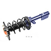 RoadMatic Strut and Coil Spring Assembly - image 1