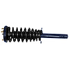 RoadMatic Strut and Coil Spring Assembly - image 1