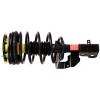 RoadMatic Strut and Coil Spring Assembly - image 1