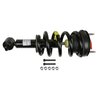 RoadMatic Strut and Coil Spring Assembly - image 2