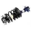 RoadMatic Strut and Coil Spring Assembly - image 1