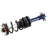 RoadMatic Strut and Coil Spring Assembly
