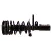 RoadMatic Strut and Coil Spring Assembly - image 1