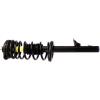 RoadMatic Strut and Coil Spring Assembly - image 1