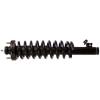 RoadMatic Strut and Coil Spring Assembly - image 1