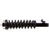 RoadMatic Strut and Coil Spring Assembly - image 2