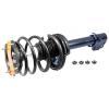 RoadMatic Strut and Coil Spring Assembly - image 1