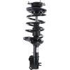 RoadMatic Strut and Coil Spring Assembly