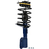 RoadMatic Strut and Coil Spring Assembly - image 1